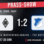 Borussia Mönchengladbach gegen TSG Hoffenheim 1:2 – Spielanalyse
