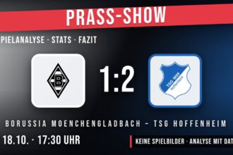 Borussia Mönchengladbach gegen TSG Hoffenheim 1:2 – Spielanalyse