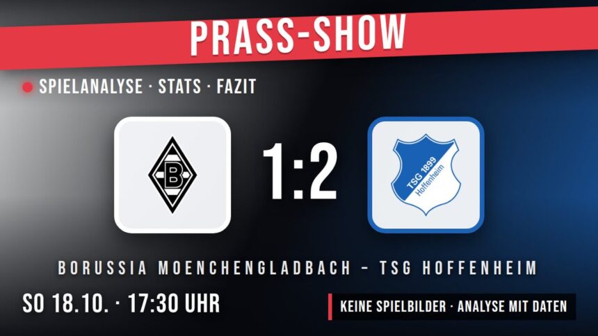 Borussia Mönchengladbach gegen TSG Hoffenheim 1:2 – Spielanalyse